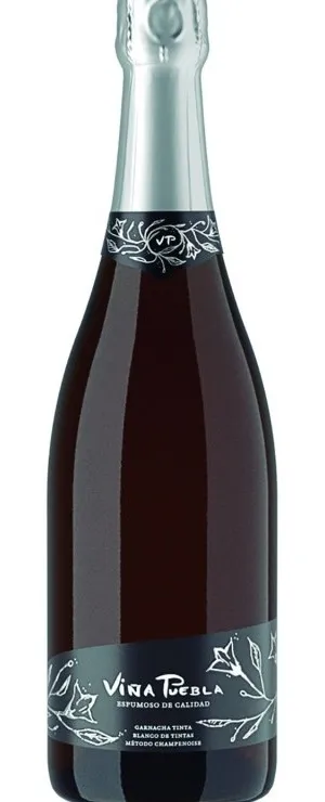 Botella de Viña Puebla Brut espumoso